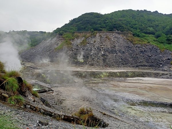 硫磺谷步道→十八份水圳步道→東昇步道→頂湖山→青楓步道→竹子湖【發現陽明山】2159590