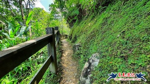 03d023eb865436e178aa443a12ba163c.jpg