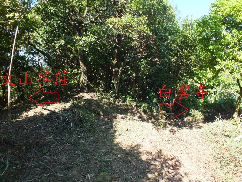 05311bf3ed0b8b7f4299b11f1dcc9cbf.jpg