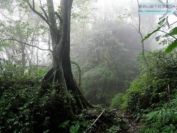 P2100419.jpg