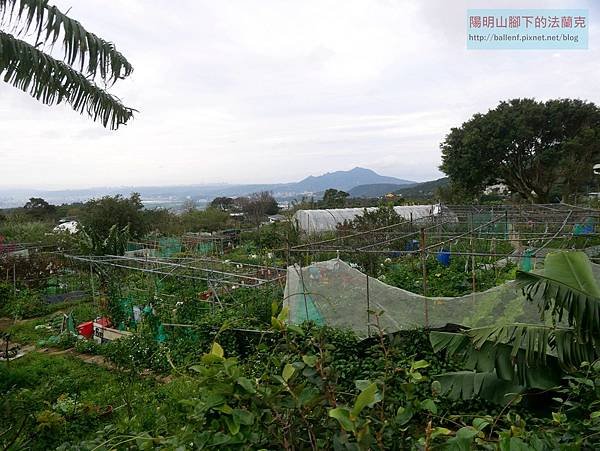 P2100238.jpg
