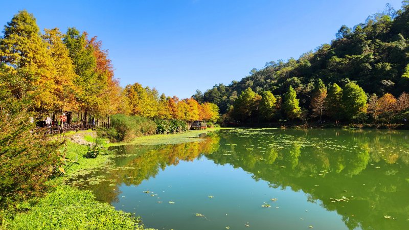 大礁溪枕山仙境,宜蘭望龍埤環湖步道,連走飛龍步道