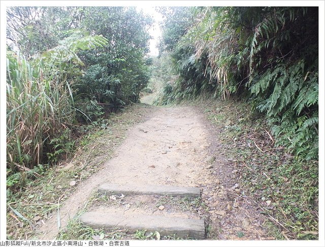 姜子寮山步道 (20).JPG - 姜子寮山步道櫻花