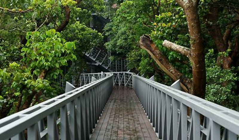 林梢步道
