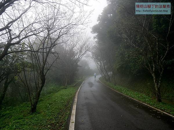 P2100471.jpg