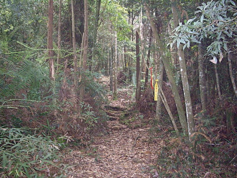 惠蓀林場小出山登山步道