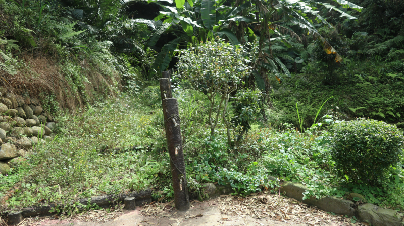 62eac508a6e5e00999cdf81560e0794e.jpg