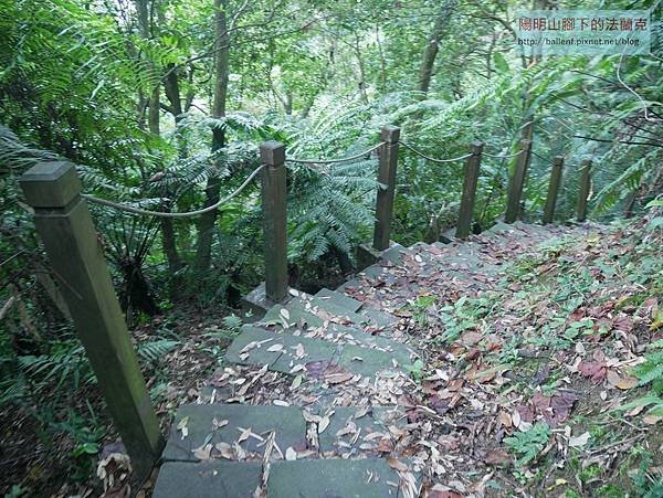 P2070191.jpg