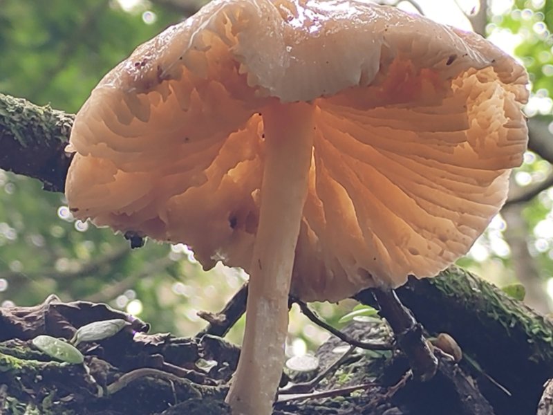 739ee718f31af75ae4ad26bf761788b7.jpg