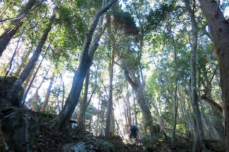 哈堪尼山步道