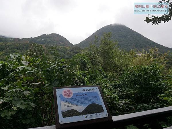 P2100274.jpg