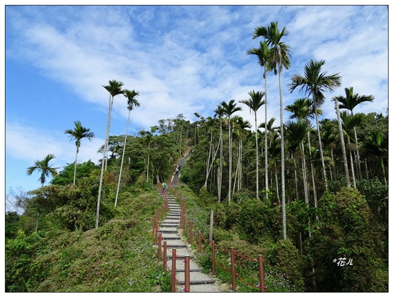  阿拔泉山稜線步道