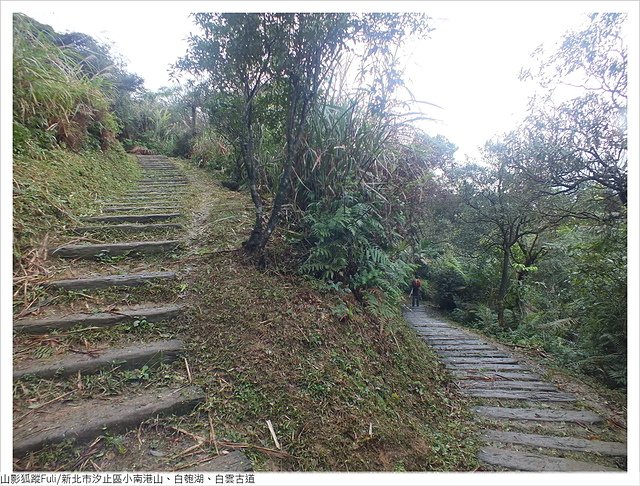 姜子寮山步道 (17).JPG - 姜子寮山步道櫻花
