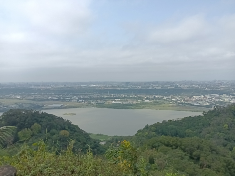 d8e1c25d4a1a4004a48030ab9276dc0c.jpg