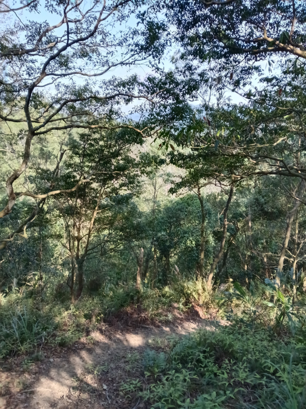 d99f13b5301460b373d4bba42f267ceb.jpg