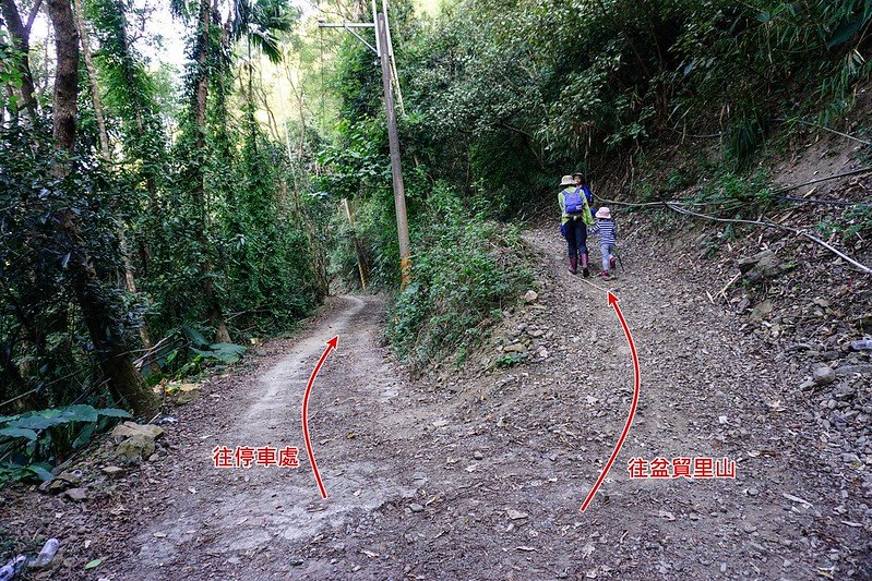 dfed3968806c98f92fcc2ff35cd98162.jpg
