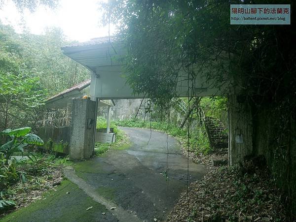 P2100598.jpg