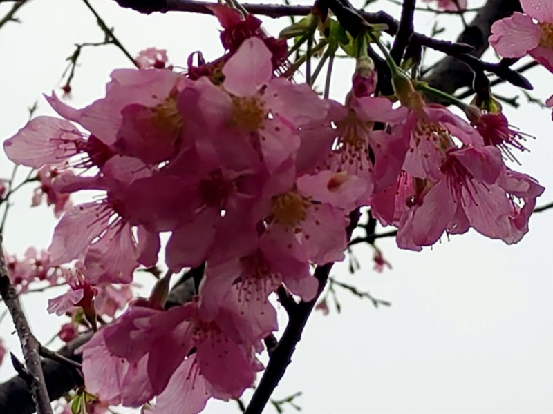 e674ba6798b980a87fb2cacecf3f8b24.jpg